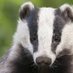 The Trail To Wildlife (@trail_wildlife) Twitter profile photo The Trail To Wildlife (@trail_wildlife) Twitter profile photo
