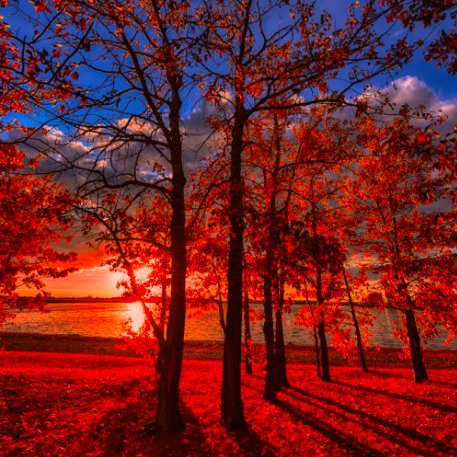 louism_fr's profile picture. 