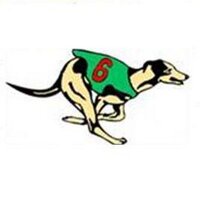 Bathurst Dogs (@bathurstdogs) 's Twitter Profile