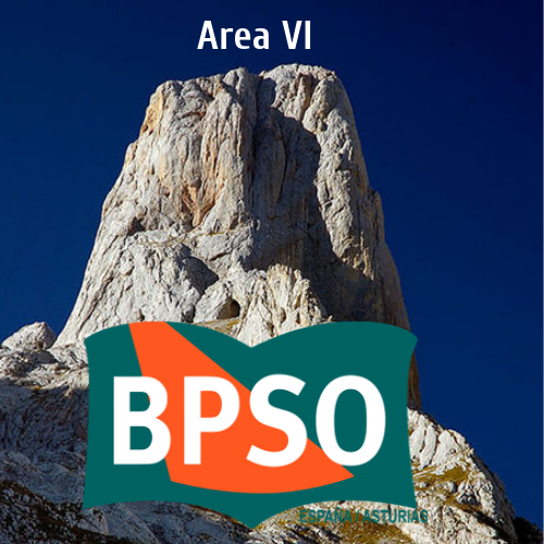 Twitter oficial del proyecto BPSO en el area sanitaria VI del SESPA #BPSO #CCEC