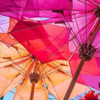 Fremont Arts Council (@solsticeparade) 's Twitter Profile