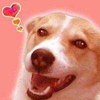 なっち (@wara_rikky) 's Twitter Profile Photo なっち (@wara_rikky) 's Twitter Profile Photo