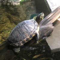 Darraghman (@darraghman1) 's Twitter Profile