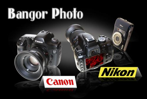 BangorPhoto's profile picture. 