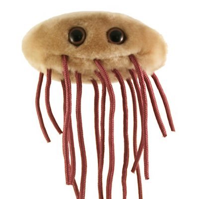 EcoliCdmx's profile picture. Cuenta exclusiva para germofobicos en CDMX. “ponle limoncito para que se mueran los gérmenes” . Cuenta de las viudas de las víctimas de los tacos de 7 pasos