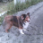 ttaaccuu's profile image
