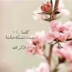 awpqwe21071's profile picture. اللهم أني أسألك الجنه