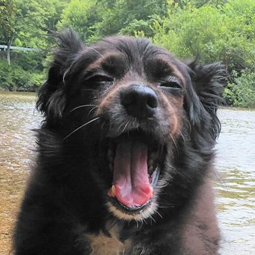 kawauchihayate's profile picture. 