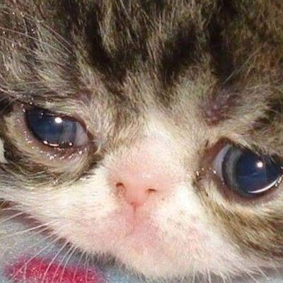 Dayさんのプロフィール画像