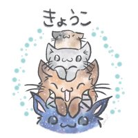 きょうこ@低浮上🐾 (@noir_sena) 's Twitter Profile Photo きょうこ@低浮上🐾 (@noir_sena) 's Twitter Profile Photo