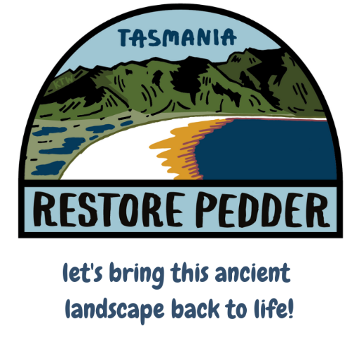 RestorePedder's profile picture. Campaign to restore the jewel of the Tasmanian Wilderness World Heritage Area, Lake Pedder 🌿