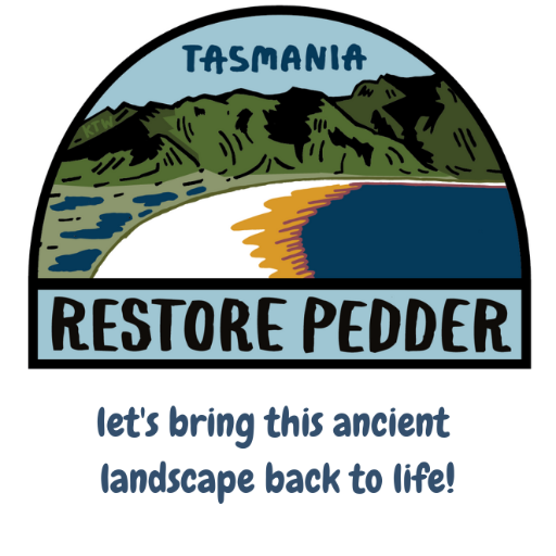 Campaign to restore the jewel of the Tasmanian Wilderness World Heritage Area, Lake Pedder 🌿