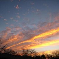 msw117r22 (@msw117r22) 's Twitter Profile Photo