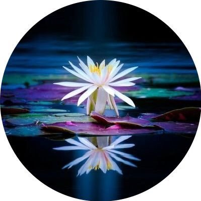 BrahmShakti's profile picture. Motivational. Tweets on everything. Religion, Wellness, Relaxation and Art of Love Making.  *RTs are just RTs,not endorsement. *Tweets are personal *