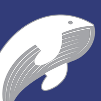 Whales College(@WhalesCollege) 's Twitter Profile Photo