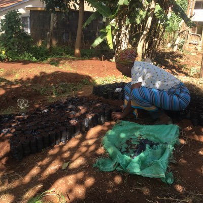 nyamburawa_miti's profile picture. Environmentalist