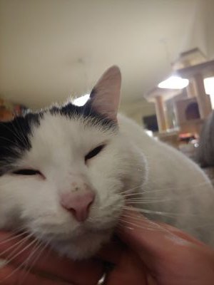 ItsFen1's profile picture. Just a dude chilling.