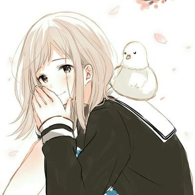 ショウさんのプロフィール画像
