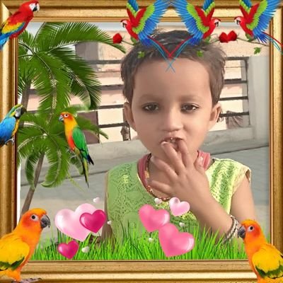 समाचार बिज़नेस न्यूज़ समाचार बॉलीवुड के गीत टीवी सरकार और राजनीति टीवी के अभिनेताओं महिलाओं और सामाजिक संगठनों महिलाओं सामाजिक संगठनों राजनीतिक पार्टियों
