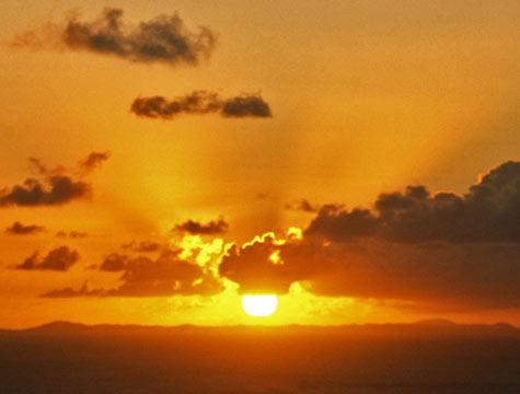 PedanticAaron's profile picture. 