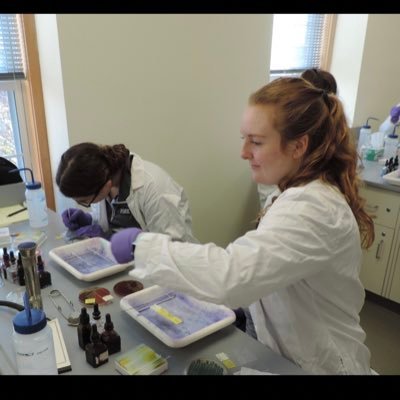 Senior studying Biotechnology at UNH in Manchester, with an interest in Physician Assistant studies.