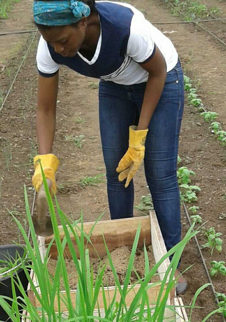 Disconnect from poverty by combating laziness through mind and self-discipline.