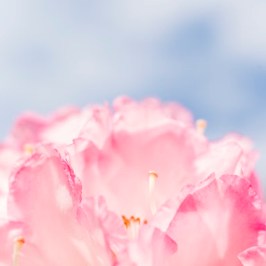 RolandLukas2's profile picture. 