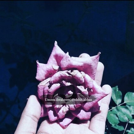 حتي لاتفارقك السعادة، اذكر الله كثيرا
Ig: @chfsh.abbas