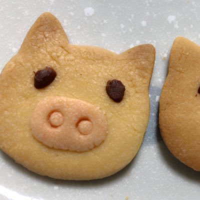 we are X/XJAPAN(xjapan)【YOSHKImobile】・水樹奈々【S.C.NANANET】・ZARD・奥華子・尾崎豊 /クレヨンしんちゃん/演劇/柔道70円は人生を変える/運命共同体/Toshl/パタlove/北斗の拳
