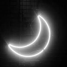 anonopes's profile picture. randoM shits