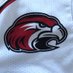 Illinois Riverhawks (@iriverhawks) Twitter profile photo Illinois Riverhawks (@iriverhawks) Twitter profile photo
