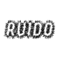 RUIDO (@ciclo_ruido) 's Twitter Profile Photo