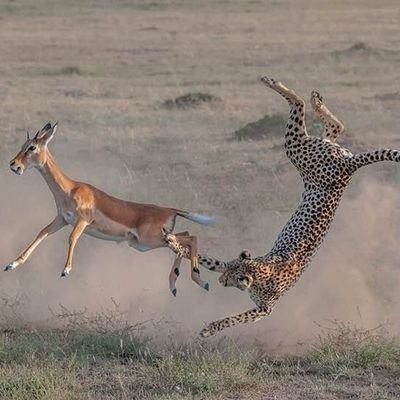 martygito78's profile picture. 