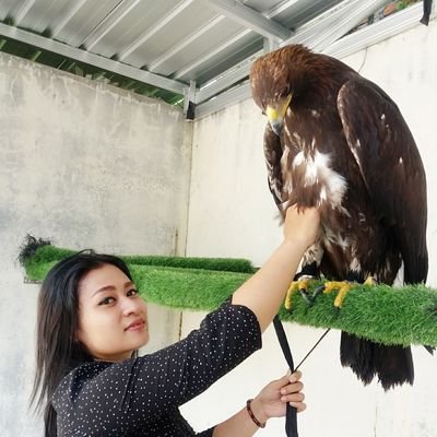 TapoAde's profile picture. Deo Optimo Maximo