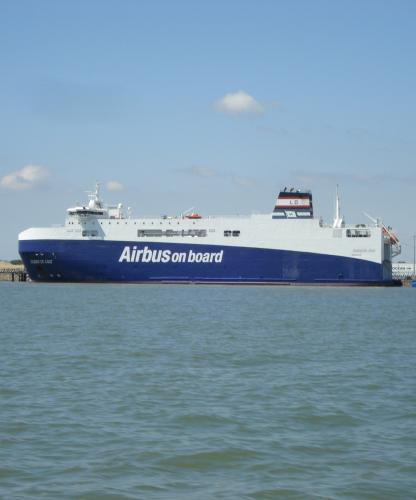 rumbleforce's profile picture. 