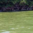 ISAAC AVILES GALLEGO - @ISSAAAC - Twitter