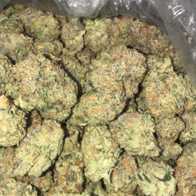 KingSlasherr's profile picture. Legend🐐