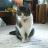 Laqia_lale's profile image
