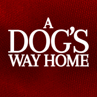 A Dog's Way Home (@adogswayhome) 's Twitter Profile