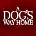 A Dog's Way Home (@ADogsWayHome) Twitter profile photo