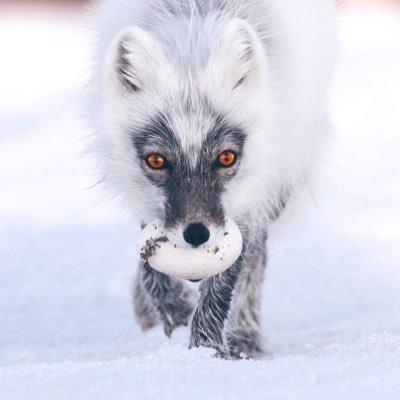 NorthernMedia_'s profile picture. 