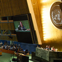 Ali Kml Afşar (@alikemalafsar41) Twitter profile photo