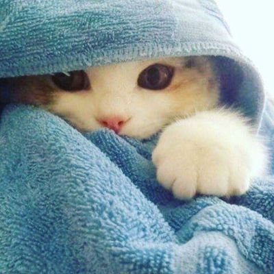 lasrhabi's profile picture. 