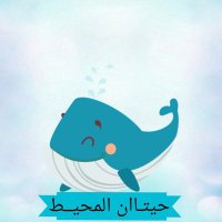 Oceanwhales(@Oceanwhales1) 's Twitter Profile Photo
