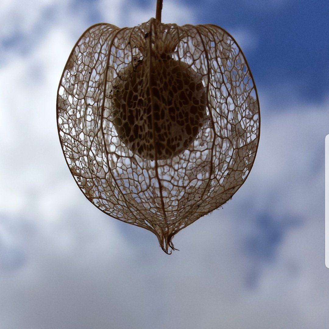 ❤ Energie als bron
⭐ Alles wat je nodig hebt zit in jezelf
👍
👩💻 Coach, trainer
https://t.co/3i98ocQBAb