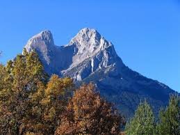 JMFAMAS1's profile picture. TERRA FERMA