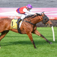 Anthony Freedman Racing (@freedmanracing) 's Twitter Profile