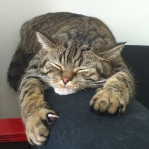 Mark__Lindsay's profile picture. 