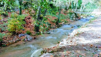 Mafalda506's profile picture. Passió per la novel·la negra