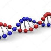 Investigación en genética y biología molecular.